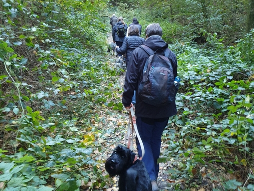 2021-10-24_Wandertag_Herbst2021-10-24_4-3__1_ergebnis