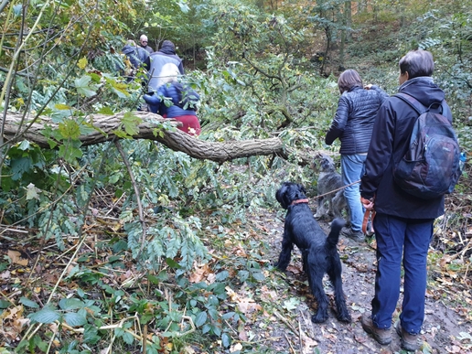 2021-10-24_Wandertag_Herbst2021-10-24_4-3__2_ergebnis