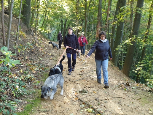 2021-10-24_Wandertag_Herbst2021-10-24_4-3__3_ergebnis