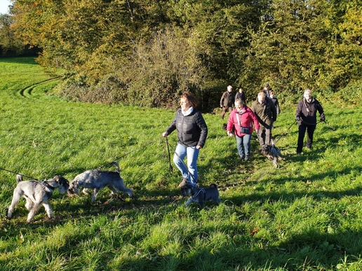 2021-10-24_Wandertag_Herbst2021-10-24_4-3__4_ergebnis