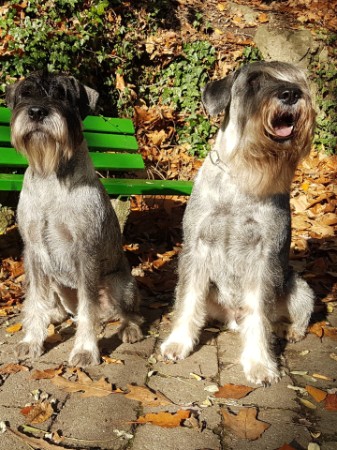 2019-11-10_Wuppertal_Athos_Vinny