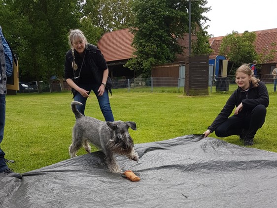 2019-05-26_Ko__rung_Osnabru__ckKoer2-Steffi