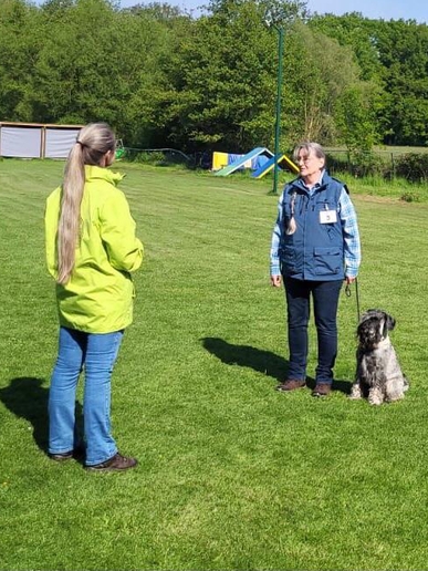 2023-05-18_BH-VT_Steffisteffi1_ergebnis