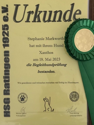 2023-05-18_BH-VT_Steffisteffi2_ergebnis